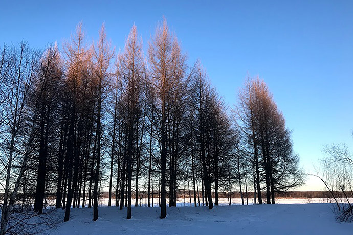 Landschaft in Sodankylä, Zentrallappland